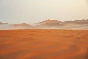 ¿Qué Darse Cuenta en una Supervivencia en el Desierto?