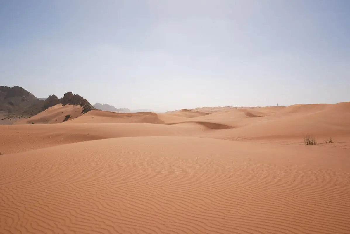 Cómo Evitar y Escapar de las Arenas Movedizas