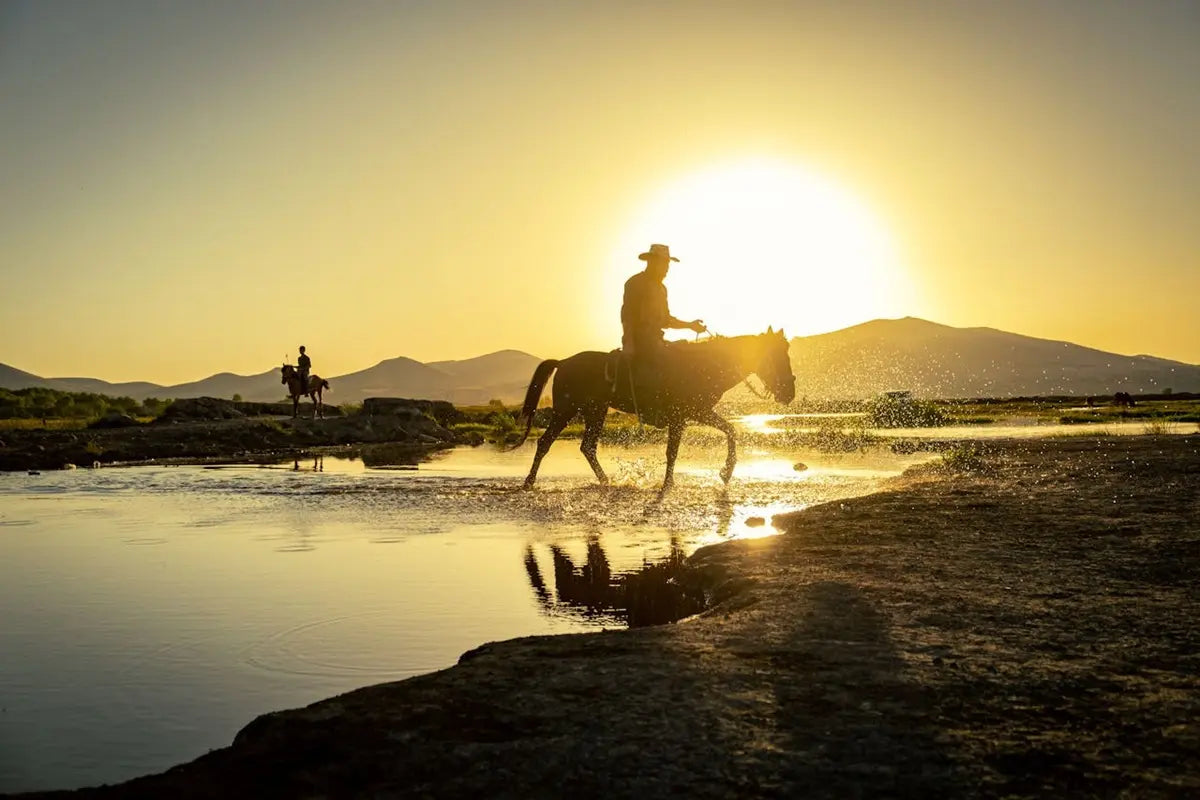 Lista de Verificación Diaria Cuando Viajar con tu Caballo