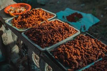 Comida Seca para Camping: Ventajas, Tipos y Consejos de Preparación