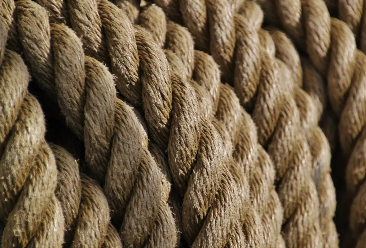 Cómo Hacer Cuerdas, Cordones y Mochilas con Materiales Naturales