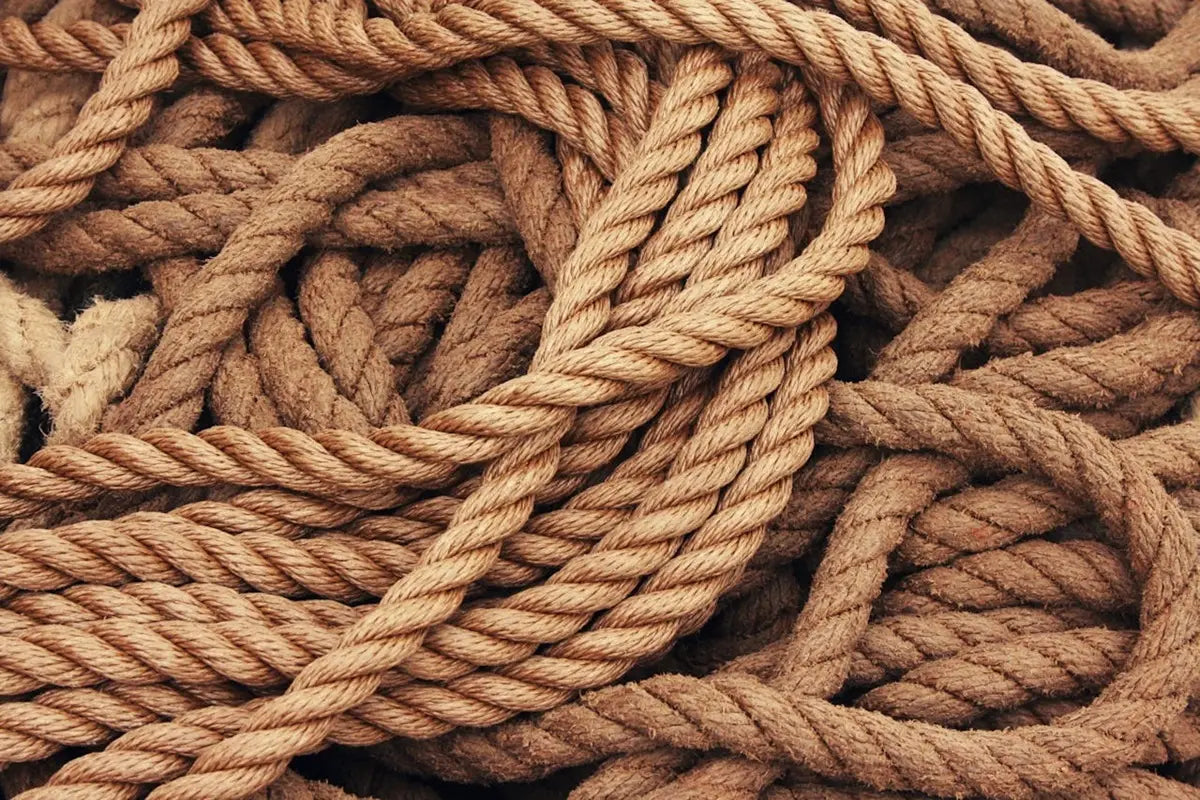Cómo Hacer Cuerdas de Supervivencia con Materiales Naturales