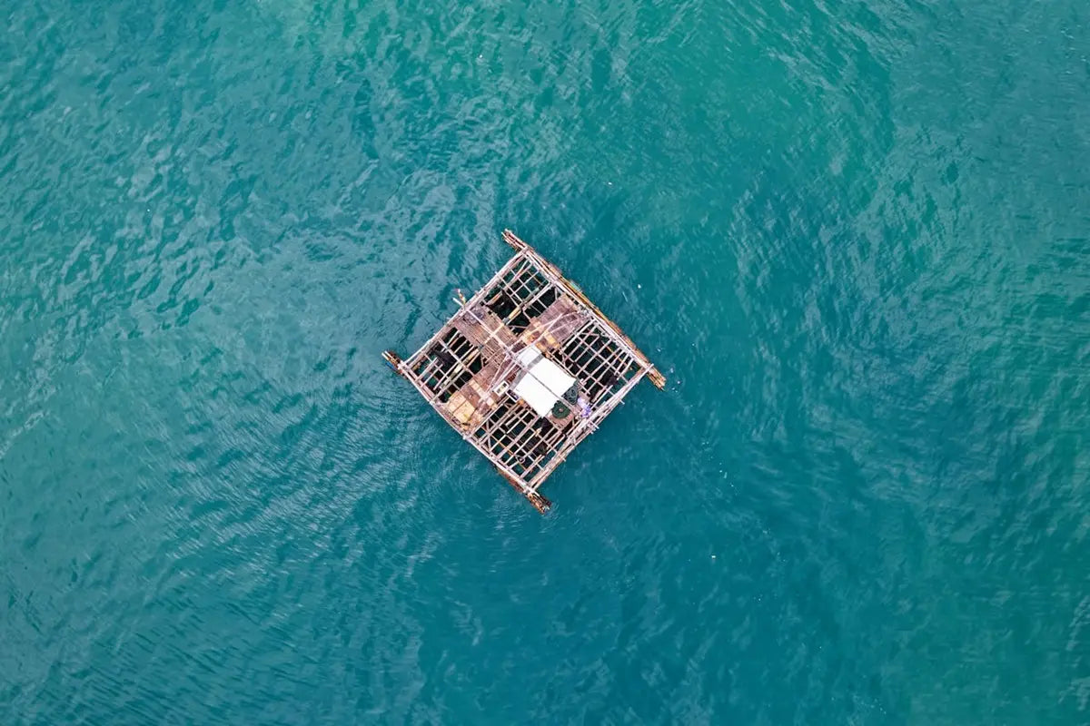 Cómo Construir y Manejar una Balsa en la Naturaleza