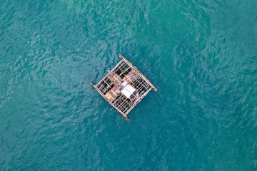 Spring Balsas Cómo Construir y Manejar una Balsa en la Naturaleza - Sandiario