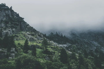 Guía de Orientación en la Naturaleza: Descubre Cómo Navegar con los Signos Naturales