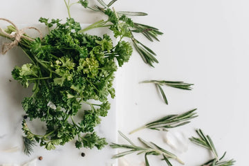 Plantas Medicinales: Cómo Usarla