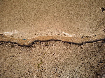 Supervivencia en Sequía: Cómo Encontrar Agua y Mantenerte con Vida