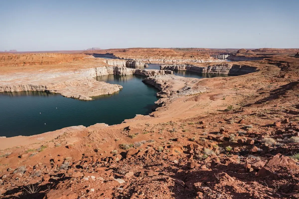 ¿Cómo Sobrevivir en Desierto?