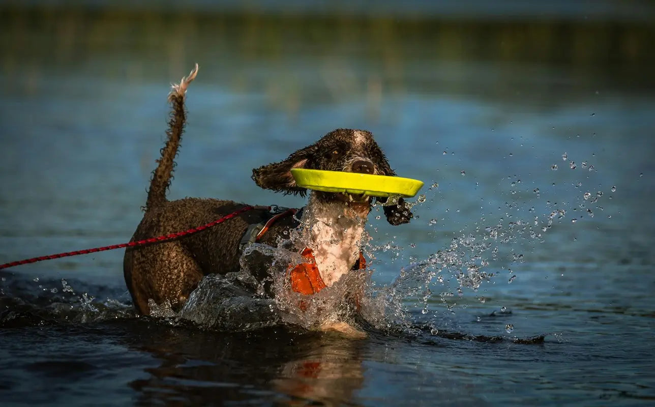 Cómo Cruzar un Río con Cuerdas de Forma Segura