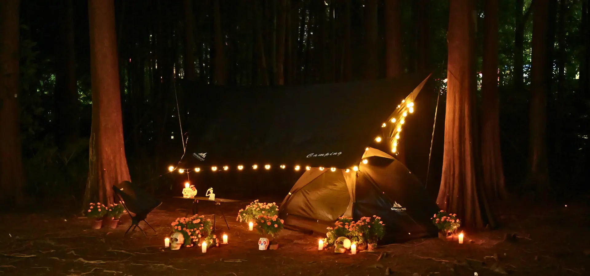 2025 promoción día de los muertos Sandiario1621243260e1af0c20-0