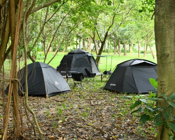 slider image 1621243260e1af0c20-0