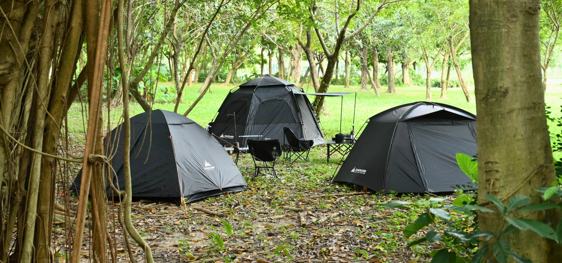 slider image 1621243260e1af0c20-0